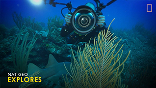 Nat Geo Explores Underwater Camera